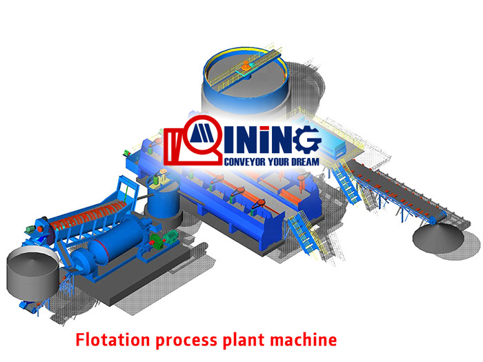 Lithium flotation processing plant